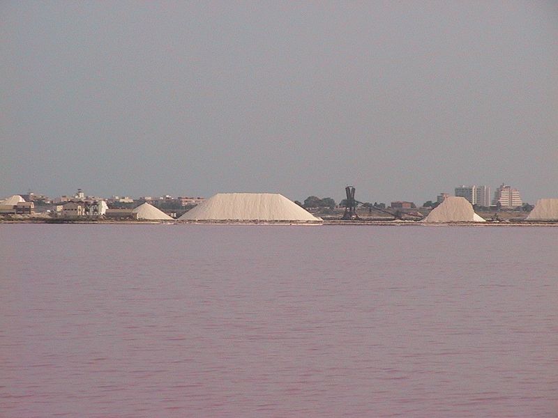 Salinas de Torrevieja-Las Matas