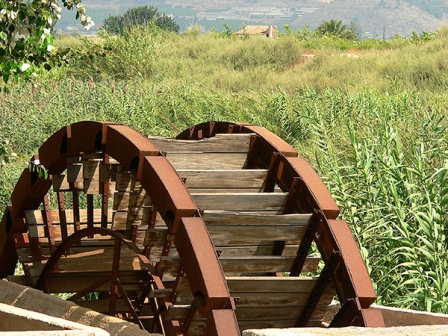 Noria de regadío en la Vega baja del Segura