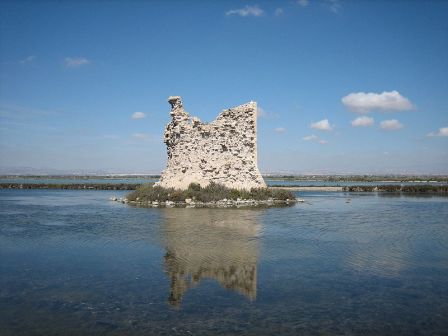 Las Salinas de Santa Pola, Torre Tamarit