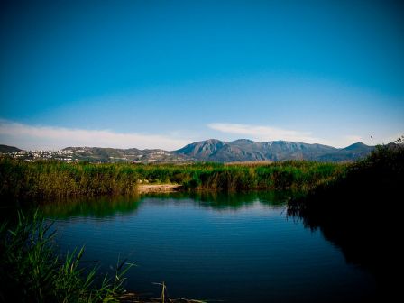 Parque Natural Marjal Pego Oliva
