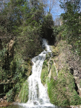 Parque La Floresta