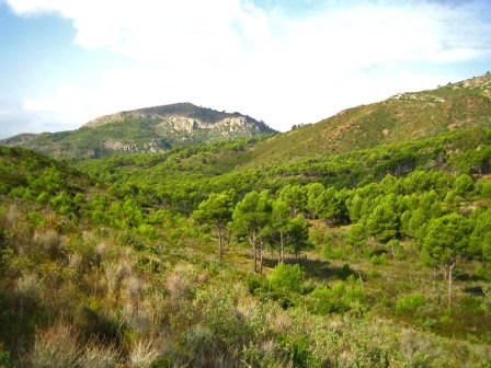 Paseo en el desierto de las Palmas