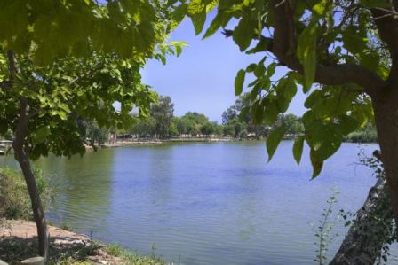El lago o Estany de Nules