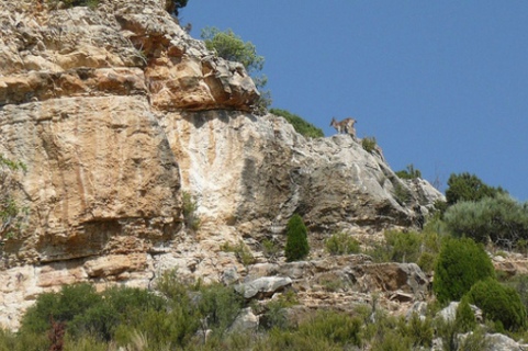 Rincon de la Sierra de Irta
