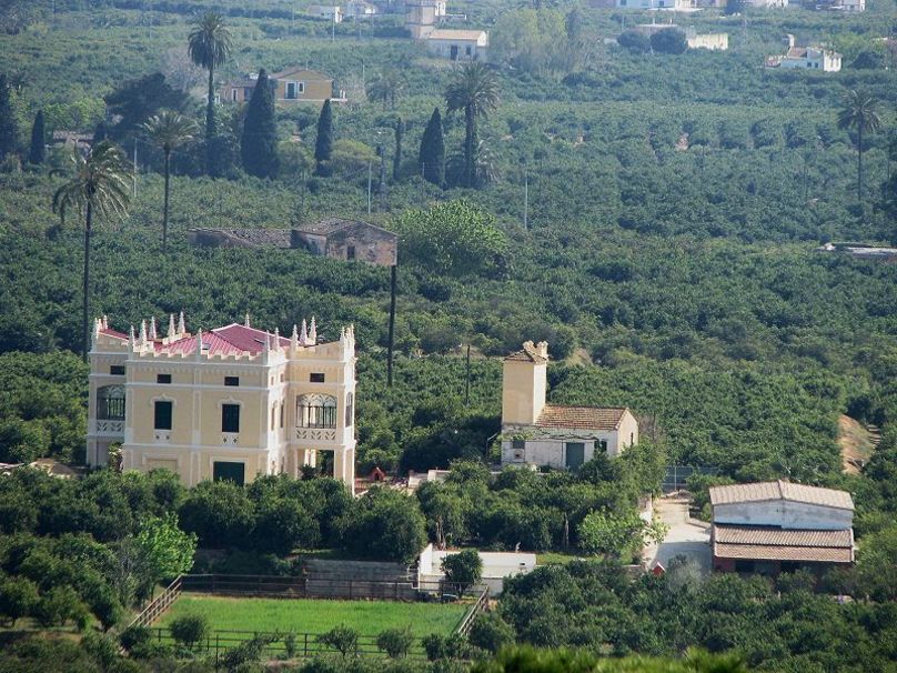 Campo de naranjos en Alzira