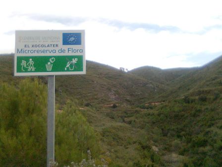 Microreserva de floa el Xocolater en la Costera
