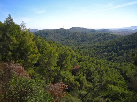 Parque Natural Les Rodanes