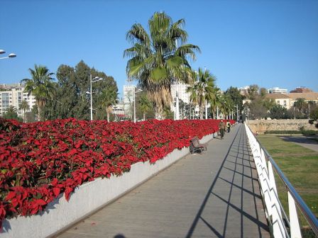 Pasarela del Puente de Las Flores en Valencia